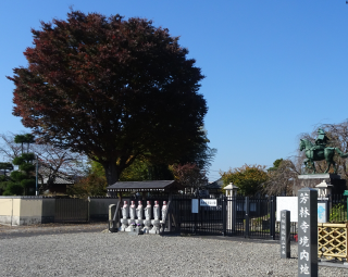 大平山 芳林寺の参拝記録(あさひなさん)