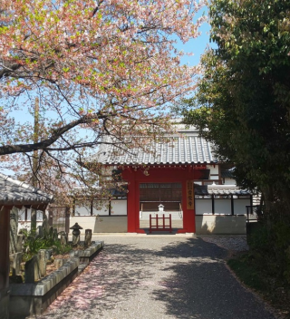 雲龍山観音院雷電寺の参拝記録(あさひなさん)