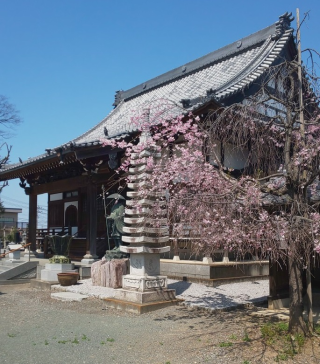 雲龍山観音院雷電寺の参拝記録(あさひなさん)