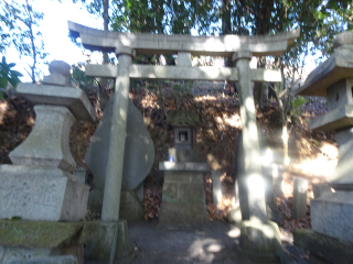 大山阿夫利神社の参拝記録7