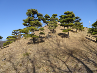 大山阿夫利神社の参拝記録(あさひなさん)