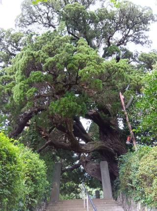 城願寺の参拝記録(ひーさん)