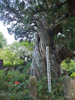 城願寺の参拝記録(たくまささん)