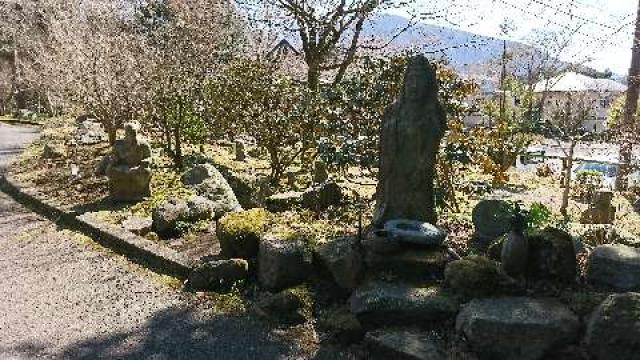 神奈川県足柄下郡箱根町仙石原82 龍虎山　長安寺の写真3