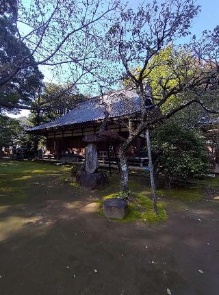 早雲寺の参拝記録(ぺすさん)