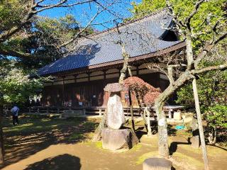 早雲寺の参拝記録(まっきーさん)