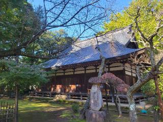 早雲寺の参拝記録(まっきーさん)