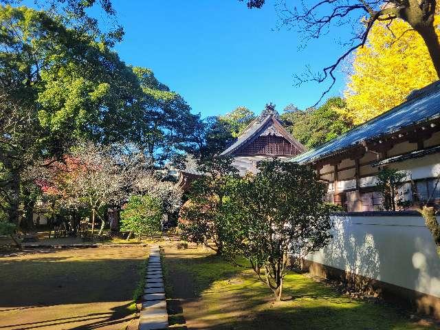 金湯山 早雲寺の参拝記録2