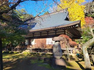 金湯山 早雲寺の参拝記録(まっきーさん)