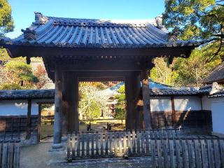 金湯山 早雲寺の参拝記録(まっきーさん)