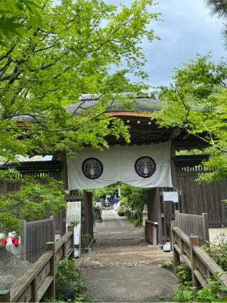 清流山 常泉寺の参拝記録(もっちゃんさん)