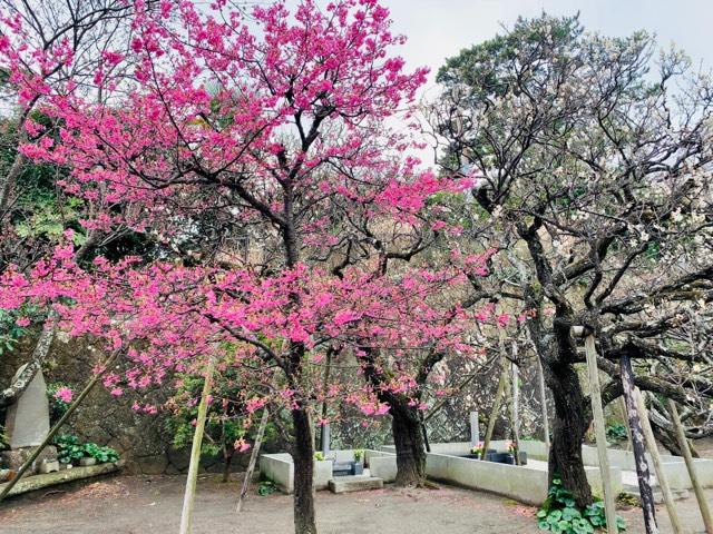 地福寺の参拝記録1