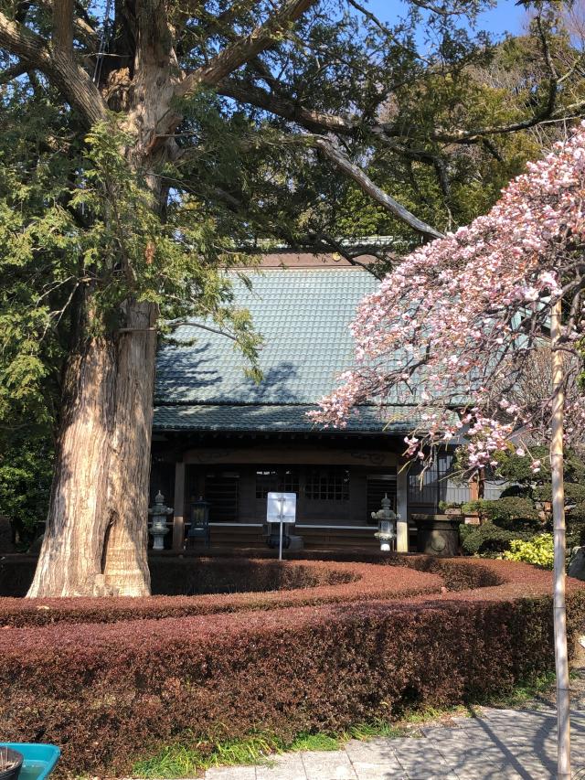 神奈川県中郡二宮町川匂230 西光寺の写真1
