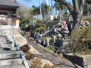 東光寺の参拝記録(おさしんさん)