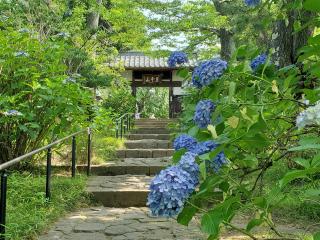 慈雲山 資福寺の参拝記録(おさしんさん)