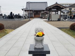 東禅寺の参拝記録(おさしんさん)