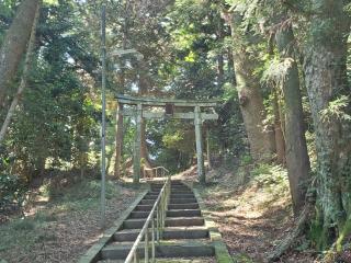 鼻節神社の参拝記録(おさしんさん)