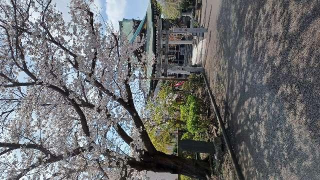 妙善寺の参拝記録2