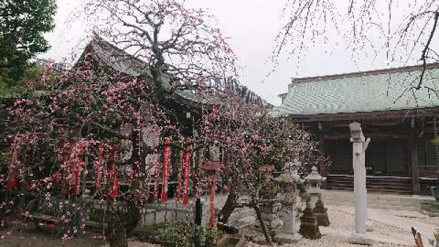 神奈川県藤沢市藤沢4-14-16 立正山 光妙寺の写真1