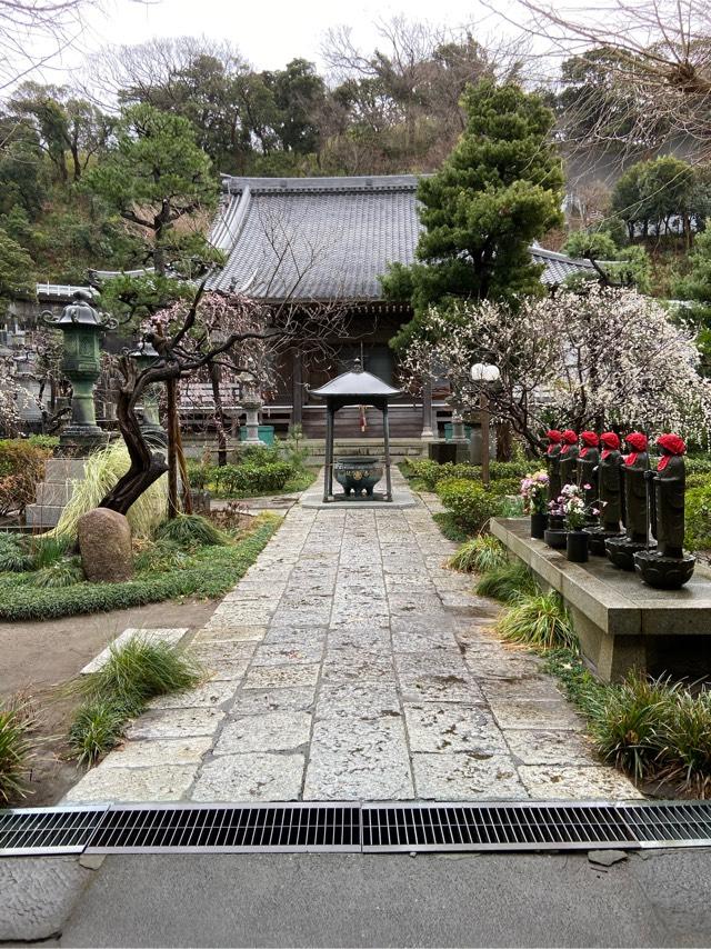 龍口山 常立寺の参拝記録9