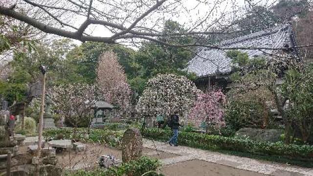 神奈川県藤沢市片瀬3-14-3 龍口山 常立寺の写真2