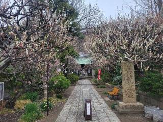 龍口山 常立寺の参拝記録(まっきーさん)