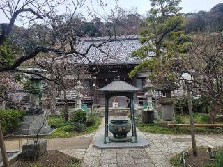 龍口山 常立寺の参拝記録(まっきーさん)