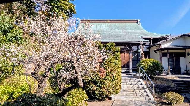 法善寺の参拝記録1