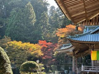 大雄山 最乗寺(道了尊)の参拝記録(よっしぞ〜さん)