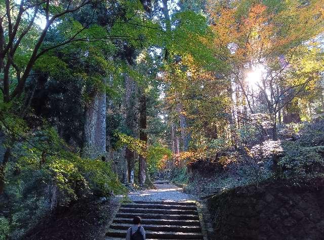 大雄山 最乗寺(道了尊)の参拝記録6