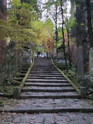 大雄山 最乗寺(道了尊)の参拝記録(ヒロ&ダディさん)