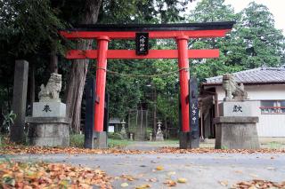 若宮八幡神社（東松山市石橋）の参拝記録5