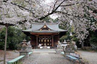 氷川神社の参拝記録9