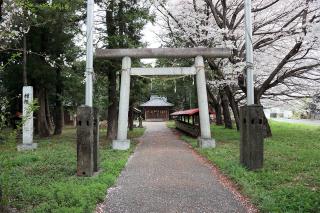 氷川神社の参拝記録4