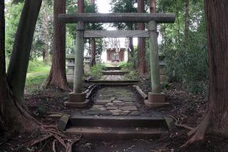 桜木神社の参拝記録(Na-kiさん)