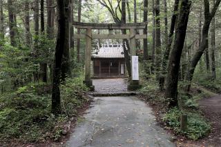 金子神社の参拝記録3