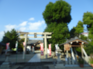 田中神社の参拝記録7