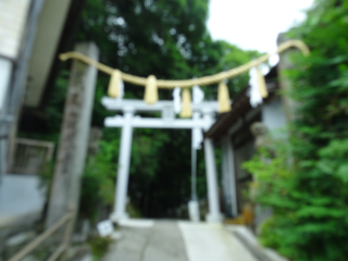 賢見神社の参拝記録(新居浜太郎さん)