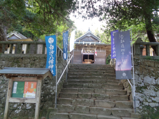 白沙八幡神社の参拝記録(新居浜太郎さん)