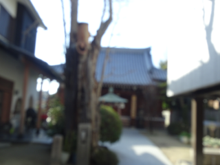 寶榮山 大日寺の参拝記録6