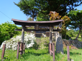 諏訪神社の参拝記録(新居浜太郎さん)