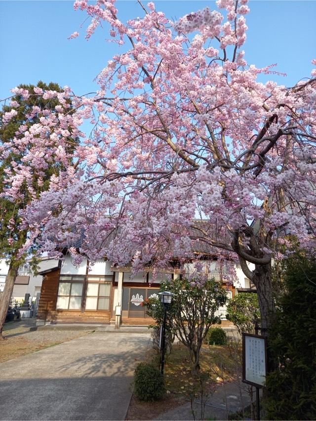 新潟県上越市寺町3-17-6 天林寺の写真1