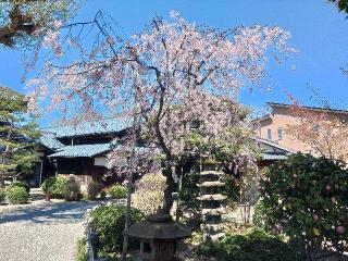 真善寺の参拝記録(軍畑先輩さん)