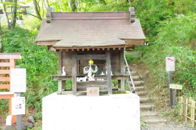 龍蛇金社(熊野皇大神社境内社)の参拝記録1