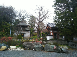 岸栄山妙蔵寺の参拝記録(ずっくさん)