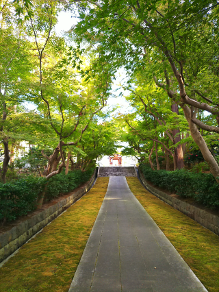 功徳山　早雲禅寺　天嶽院の参拝記録(ずっくさん)