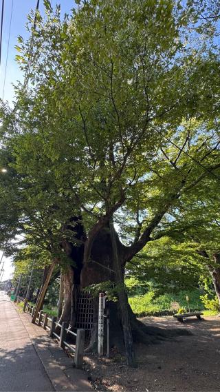金峰山 安禅寺の参拝記録(あさこさん)