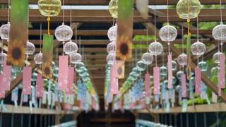 最上山　関興寺の参拝記録(あさこさん)
