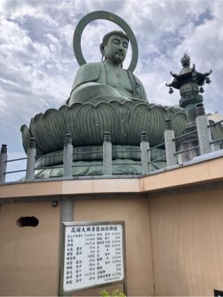 鳳徳山 大仏寺（高岡大仏）の参拝記録(ともりんさん)