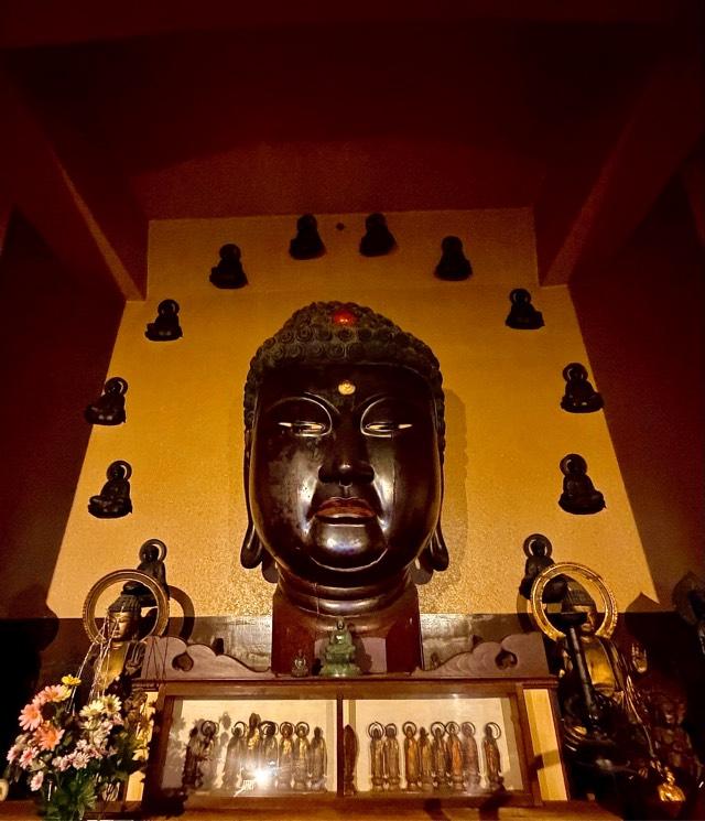 鳳徳山 大仏寺（高岡大仏）の参拝記録5